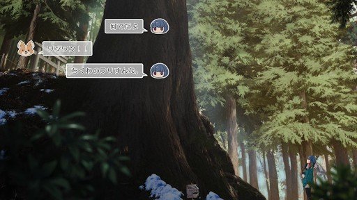 Night under the Giant Cedar